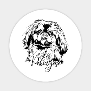 Funny Proud Pekingese dog portrait dog lover Magnet